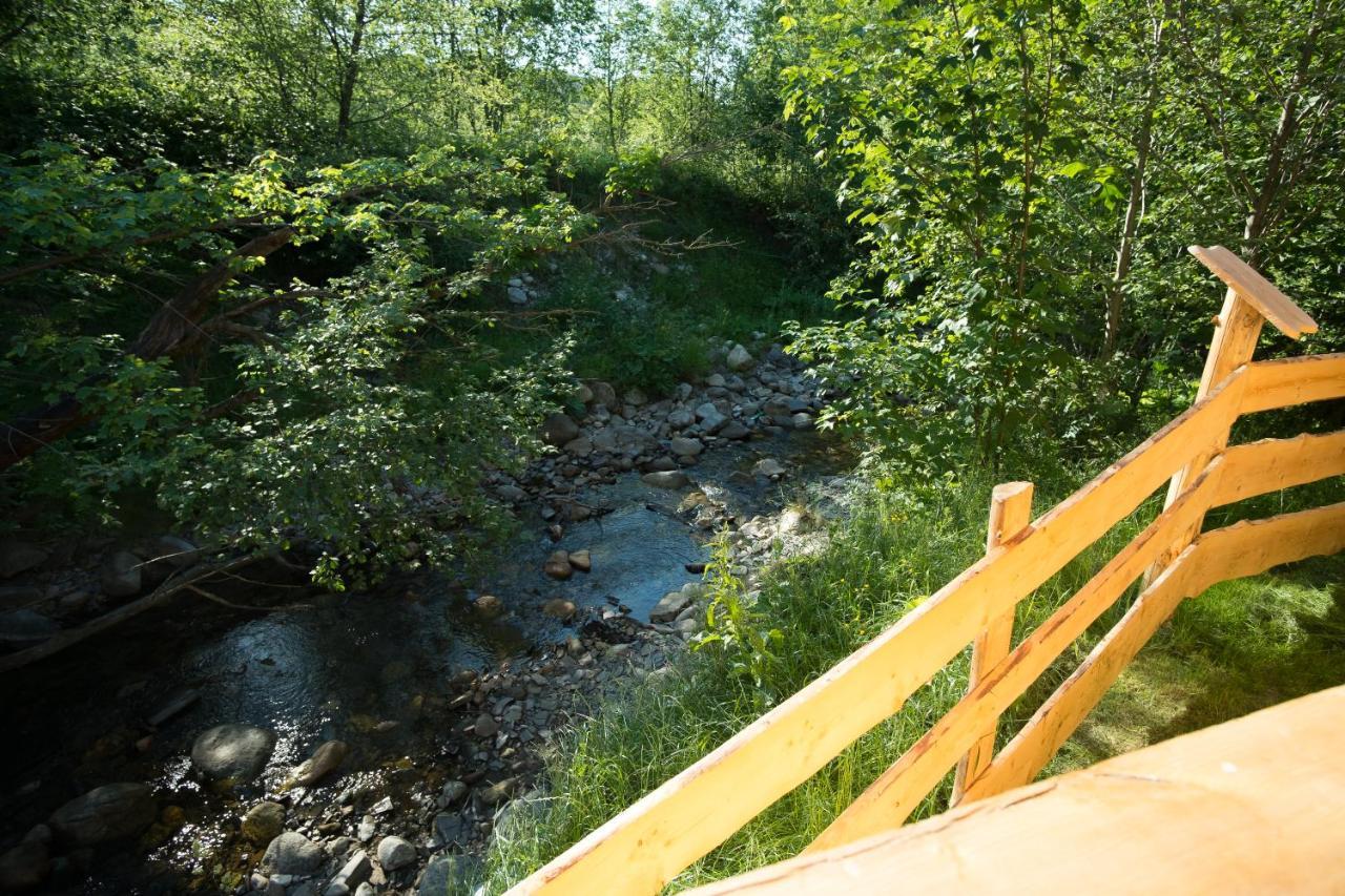Zakopiańskie Przy Potoku Zakopane